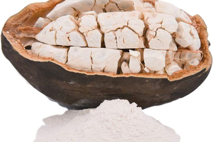 Baobab : l'arbre de vie et sa poudre miracle aux milles vertus