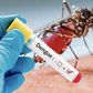 Santé : Comment différencier la dengue du paludisme ?