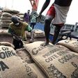 Alerte Cacao : Le Brésil suspend ses achats du cacao ivoirien, un nouveau coup dur pour les exportations ivoiriennes