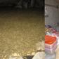NACOC seizes 2,372kg of ‘wee’ worth over GH¢1.1 million in Volta Region