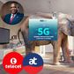 Elephant in the room: Why Ghana missed the June deadline for 5G rollout