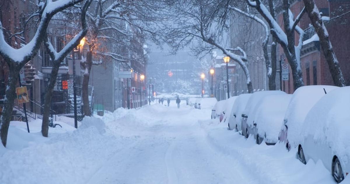 Top 10 coldest countries in the world in 2026: See list | Pulse Ghana