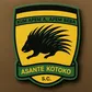 GFA charges Asante Kotoko again — the second time in a week for separate offences