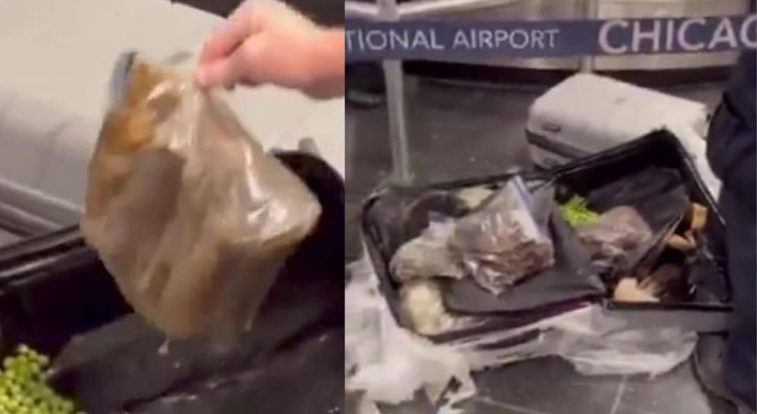 [Video] African passenger’s luggage intercepted at Chicago Airport over bushmeat concerns