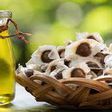 The Miracle Oil: How Moringa Oil Helps Keep Your Skin Nourished and Healthy