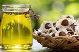 The Miracle Oil: How Moringa Oil Helps Keep Your Skin Nourished and Healthy