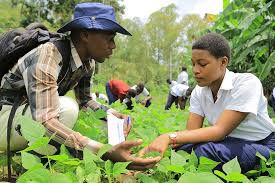 10 best courses to study in Ghana for quick employment