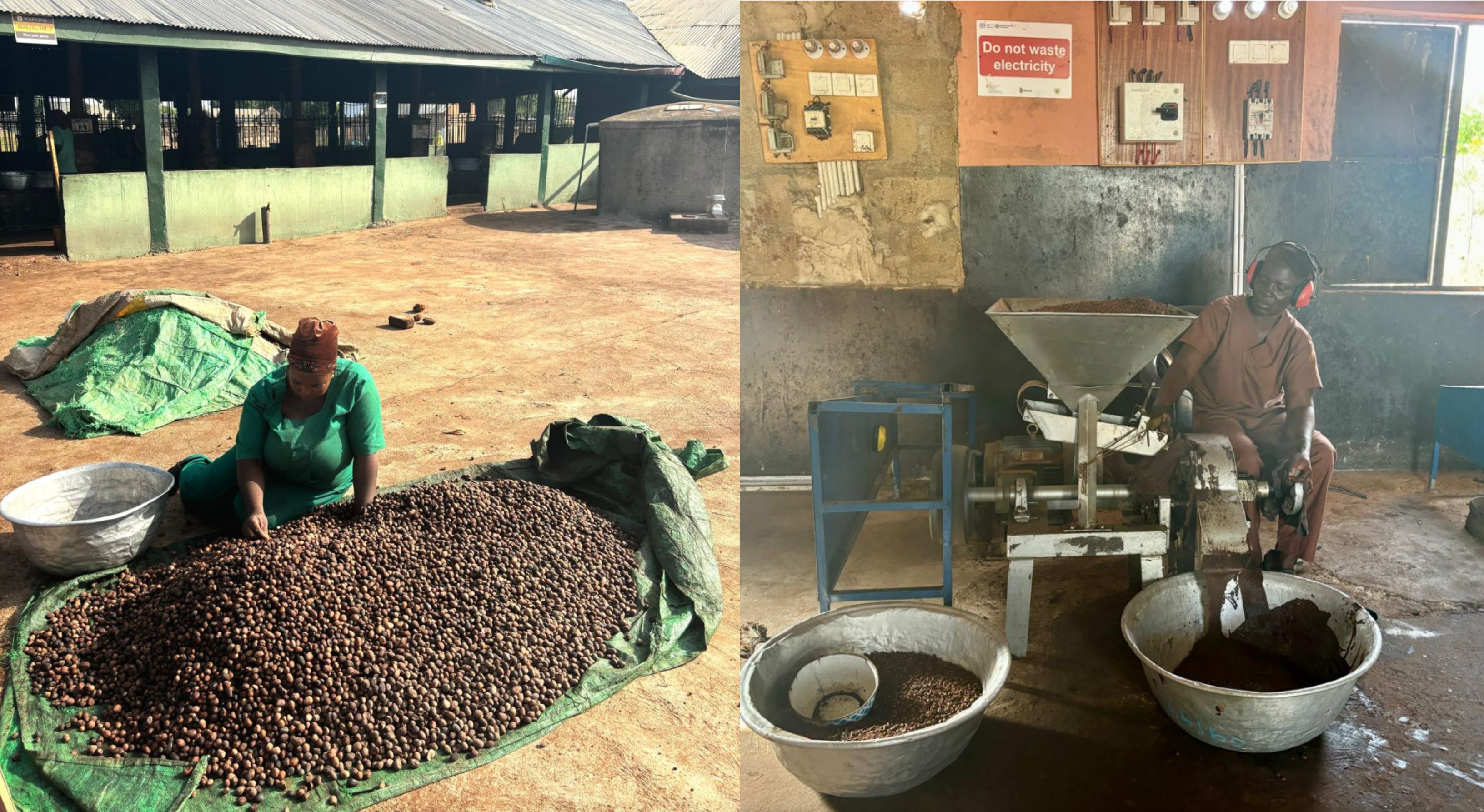 Hard work for smooth kin: The process behind Ghana's shea butter