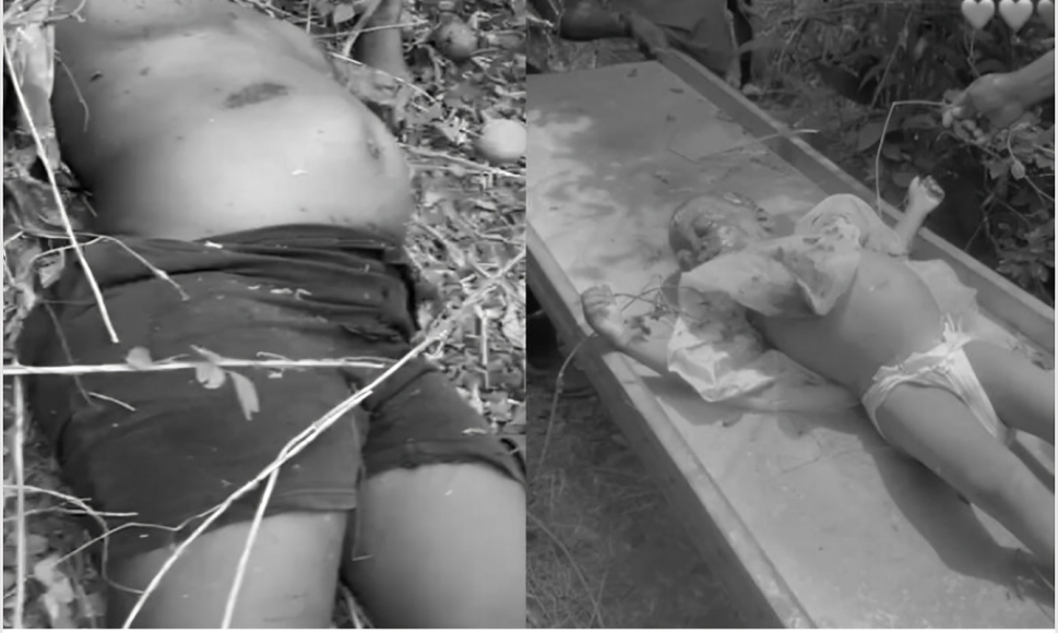 Pregnant woman and her 2-year-old daughter found murdered near stream in Akrokere