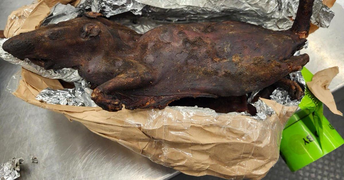 Travelling with bush meat ‘Akrantie' to the US is illegal: Full list of 25 items that are restricted
