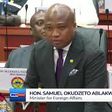 'All Ghanaian fans will have full representation' at 2026 World Cup - Foreign Affairs Minister