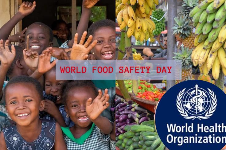 Over 1.5 million people die from food poisoning annually: 5  tips to stay safe according to WHO