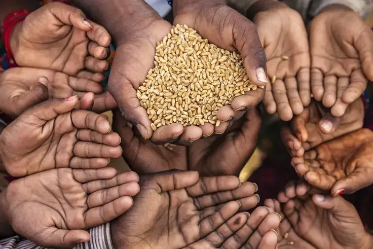 Top 10 Countries in the World with the Worst Hunger Levels: 2025 GHI Rankings
