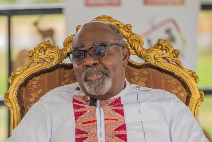 Ayikoi Otoo denies submitting a fake document during Chief Justice removal probe