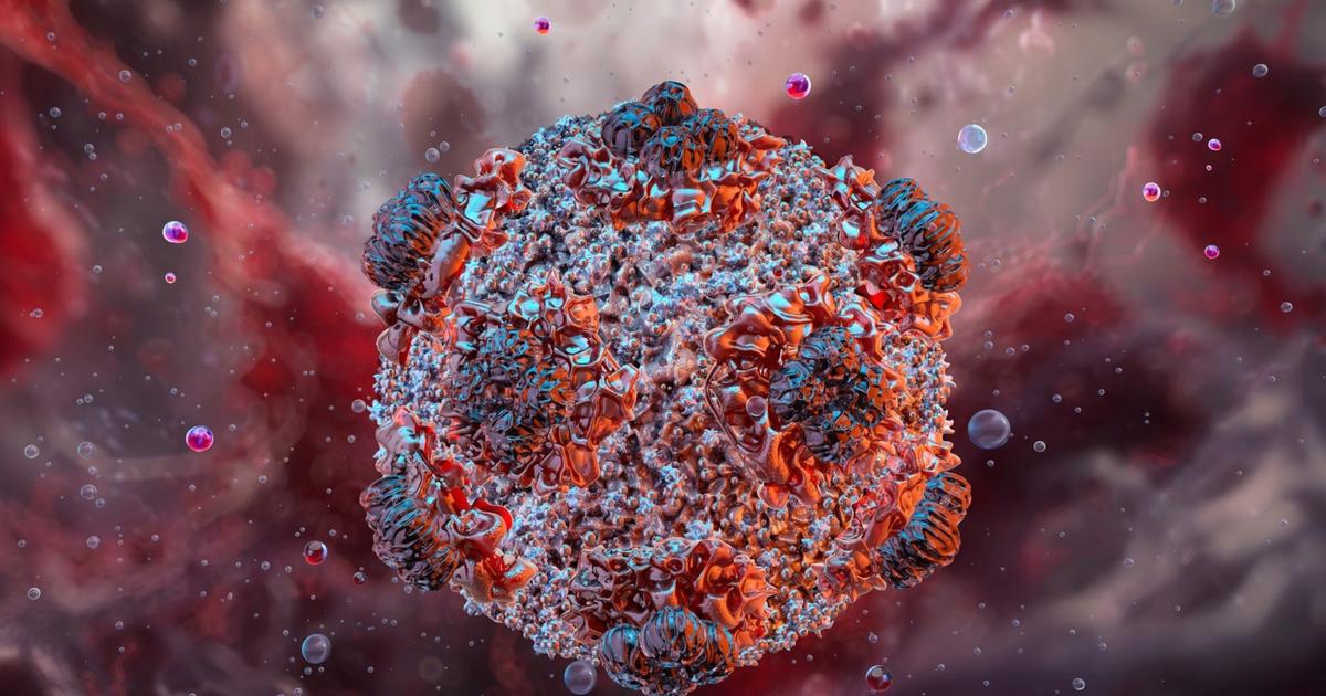 Ghana and other African countries on red alert as South Africa confirms 2 hantavirus cases