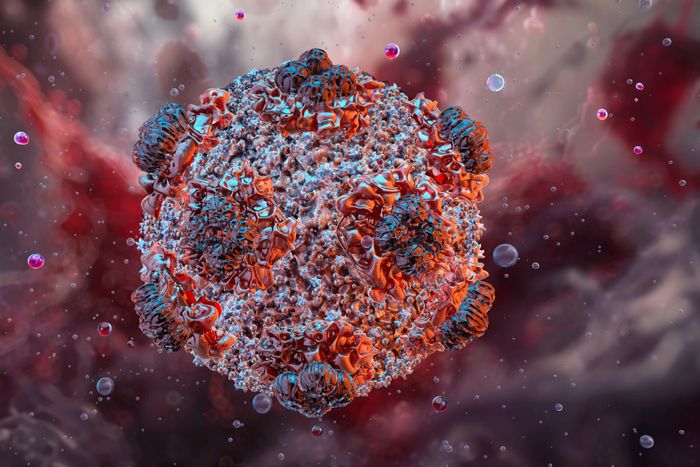 An illustration of a hantavirus. The rodent-borne virus causes flu-like symptoms that eventually cause the lungs to fill with fluid. Hantavirus cases usually come from direct exposure to infected rodent waste.
Ruslanas Baranauskas, Science Photo Library
