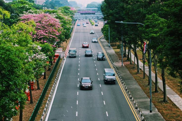 Singapore tops the global rankings with an impressive score of 6.5.