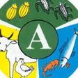 MoFA to launch Agricultural Education Transformation Fund to boost skills, innovation and agribusiness