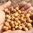 10 amazing health benefits of tiger nuts you probably didn’t know about