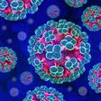 Another lockdown? Here's all you need to know about the new hantavirus