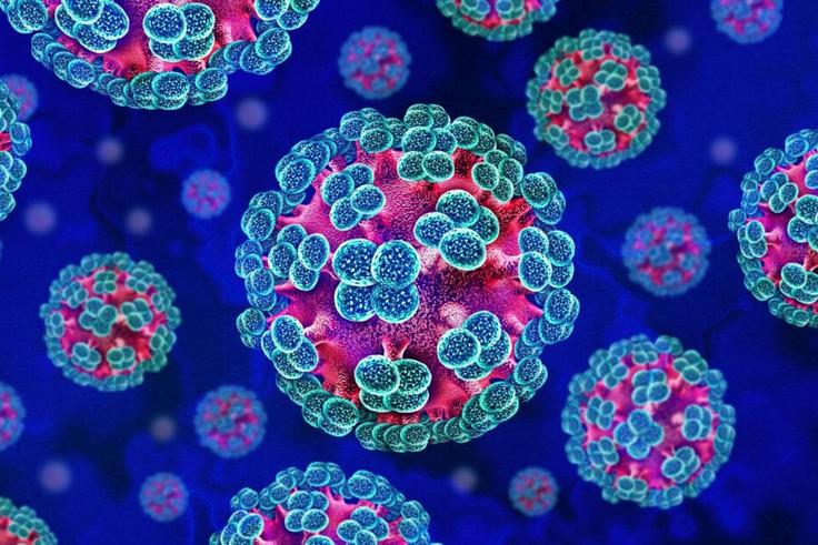 Another lockdown? Here's all you need to know about the new hantavirus