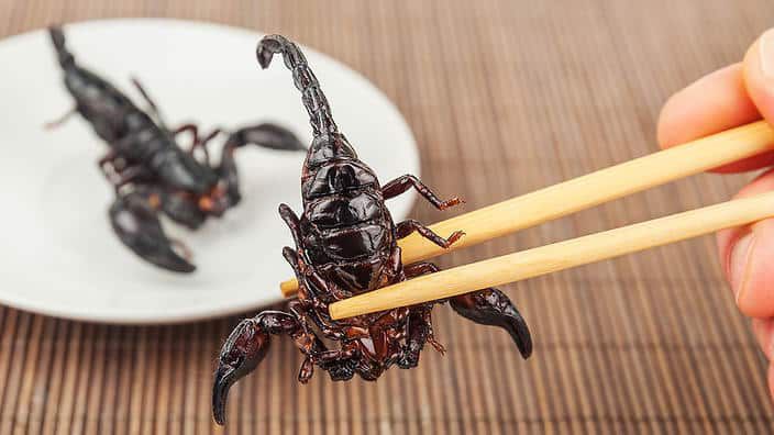 Deadliest delicacies: 10 deadly animals that people actually eat around the world