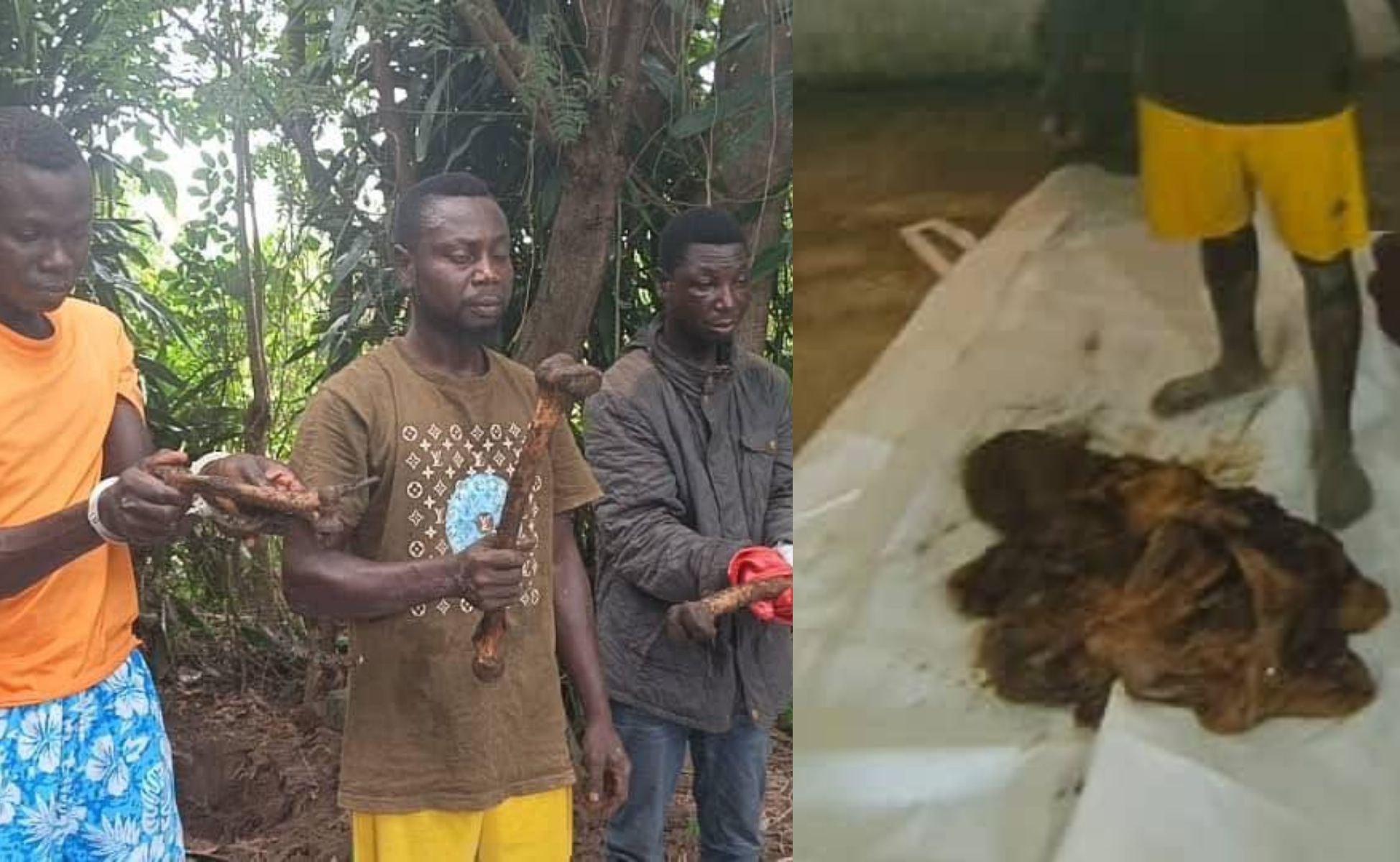 V/R: Police exhume several dead bodies from shrine, arrest 6 in suspected ritual killing