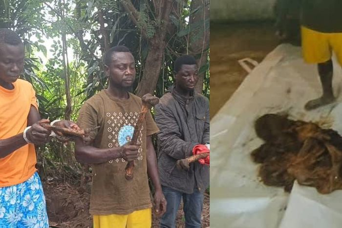 V/R: Police exhume human remains from shrine, arrest 6 in suspected ritual murder case