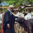‘Cowboy Lawyer’: Umaru Sanda Amadu’s inspiring journey from cattle kraal to the Supreme Court