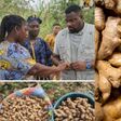Deputy Agric Minister, John Dumelo explains why there's a shortage of ginger in Ghana and why prices are high