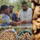 Deputy Agric Minister, John Dumelo explains why there's a shortage of ginger in Ghana and why prices are high