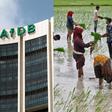 The African Development Bank (AfDB) (left) and farmers harvesting rice