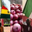 Nigerian onion traders suspend exports to Ghana over trade disputes, demand urgent ECOWAS intervention