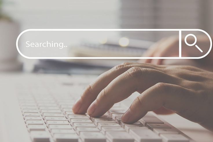 Here are all the things people searched for the most in 2024