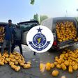 Over 1,600 parcels of suspected narcotic drugs seized by Tema police