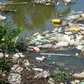 10 most polluted cities in Africa – See who tops the list
