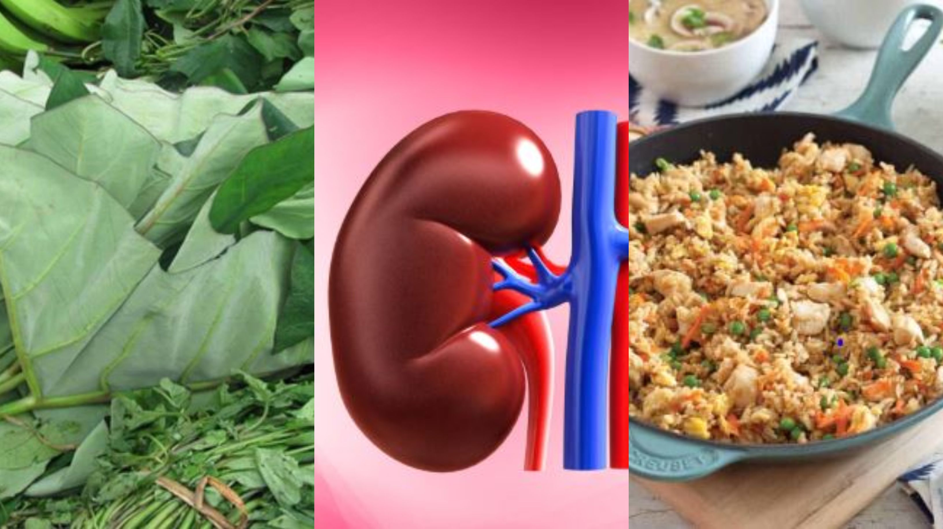 World Kidney Day: 5 Ghanaian foods that can keep your kidney healthy