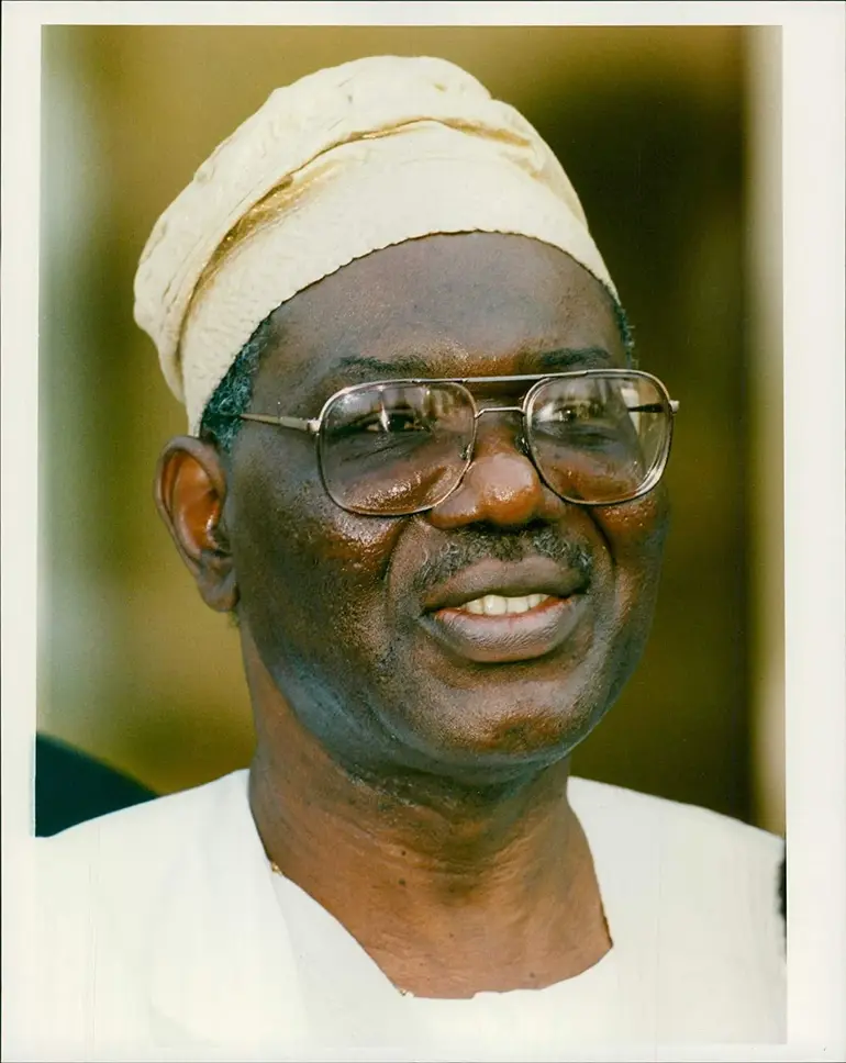 Ernest Shonekan