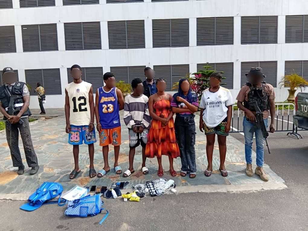 Police arrest 10 for creating fake food delivery platforms, defrauding people