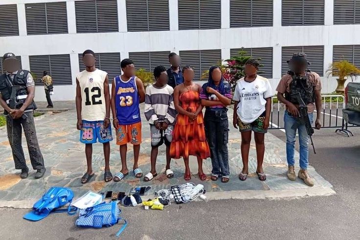 Police arrest 10 for creating fake food delivery platforms, defrauding people
