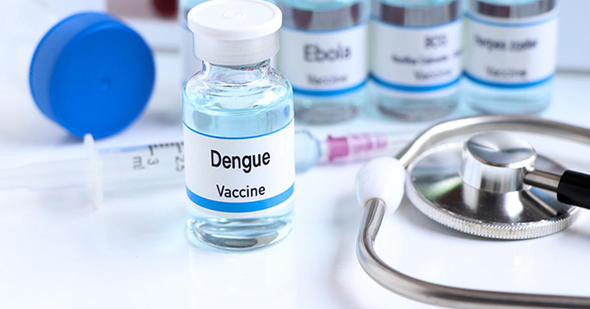 Ghana selected for €11 million global dengue vaccine project to fight ...
