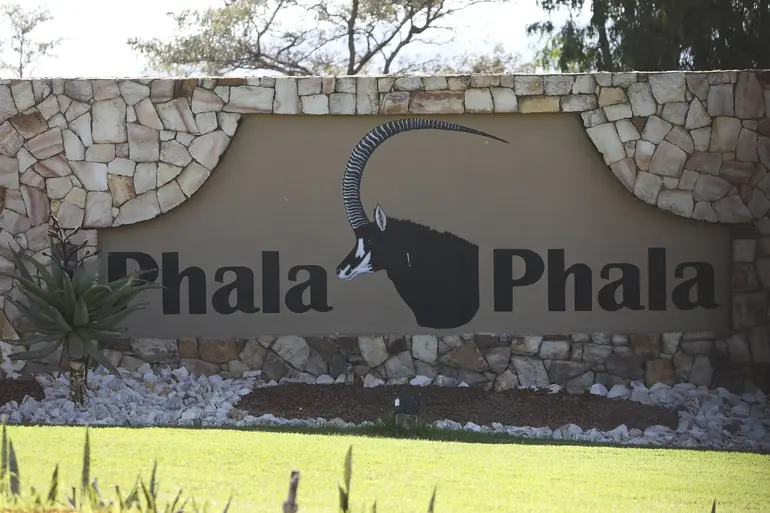 Ramaphosa’s private game farm, Phala Phala, located in Limpopo Province.