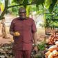 COCOBOD bans LBCs from buying cocoa on credit, warns of licence revocation