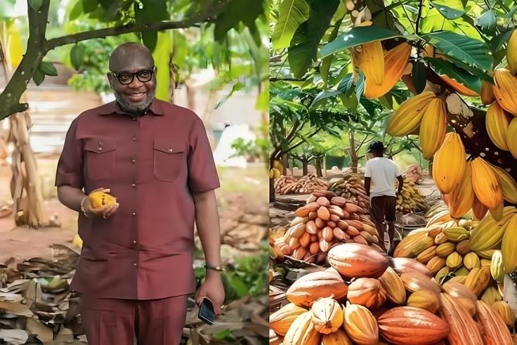 COCOBOD bans LBCs from buying cocoa on credit, warns of licence revocation