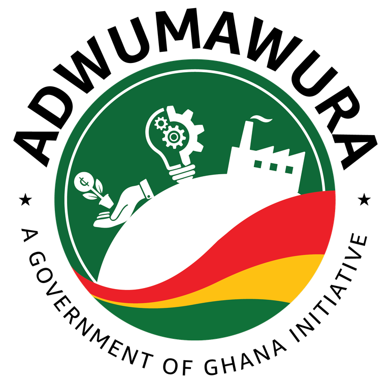 NEIP Programme Portal — Apply for Entrepreneurship Grants | Adwumawura