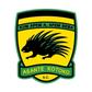 Asante Kotoko apologise to fans amid poor form and delay in head coach appointment