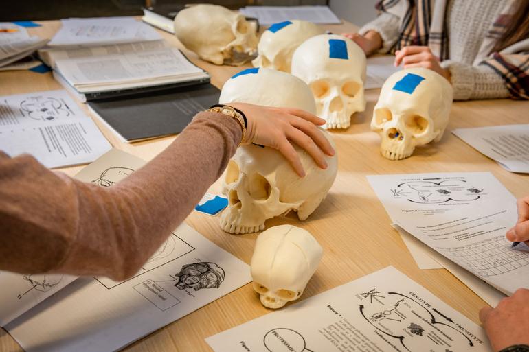Anthropology - Bachelor's Degree | Admissions | University of Alaska Anchorage
Creator: James R. Evans / University of Alaska Anchorage
Copyright: University of Alaska Anchorage