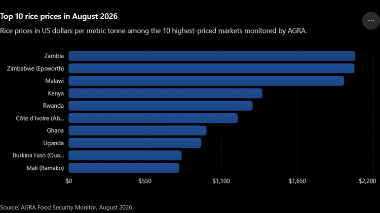 10 countries with the most expensive rice prices
