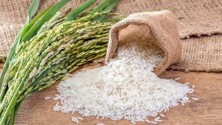 Top 10 African countries with the most expensive prices of rice: Latest rankings