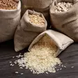 Top 10 African countries with the most expensive prices of rice: Latest rankings